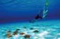 /album/cozumel/a5-jpg3/