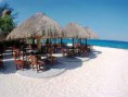 /album/cozumel/a6-jpg4/