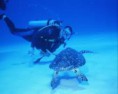/album/cozumel/a10-jpg2/