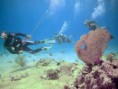 /album/cozumel/a13-jpg2/