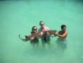/album/isla-mujeres/a13-jpg3/