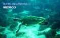 /album/manzanillo/a09-jpg1/