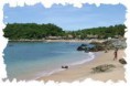 /album/puerto-escondido/a2-jpg2/
