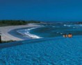 /album/punta-mita/a07-jpg6/